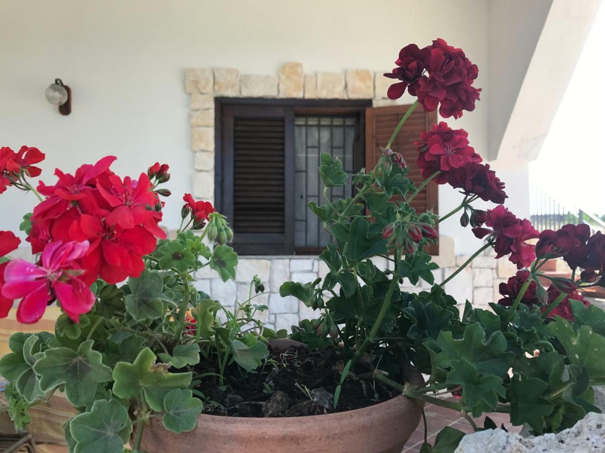 Villa Rosa - Ai Piedi Dell'Etna 브루콜리 외부 사진